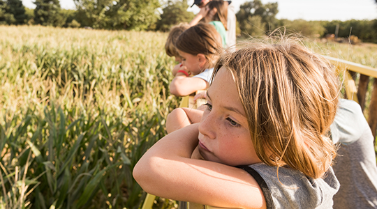 Yara at a glance (รู้จักยารา)