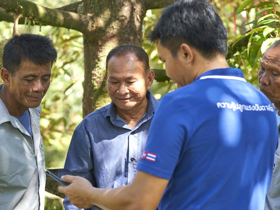 durian farmer