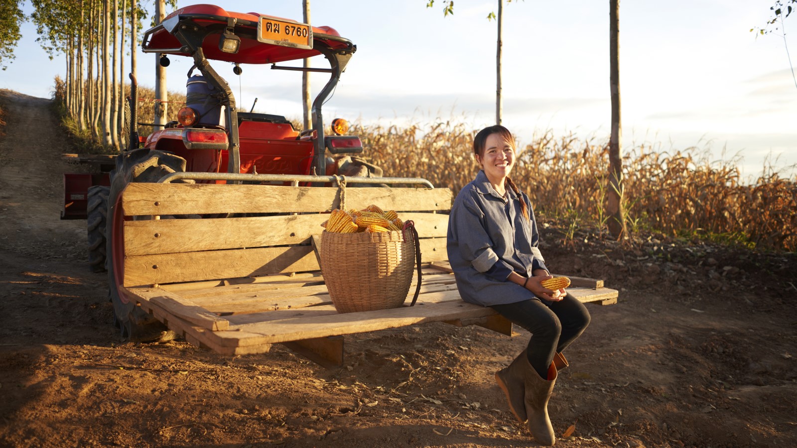 maize farmer
