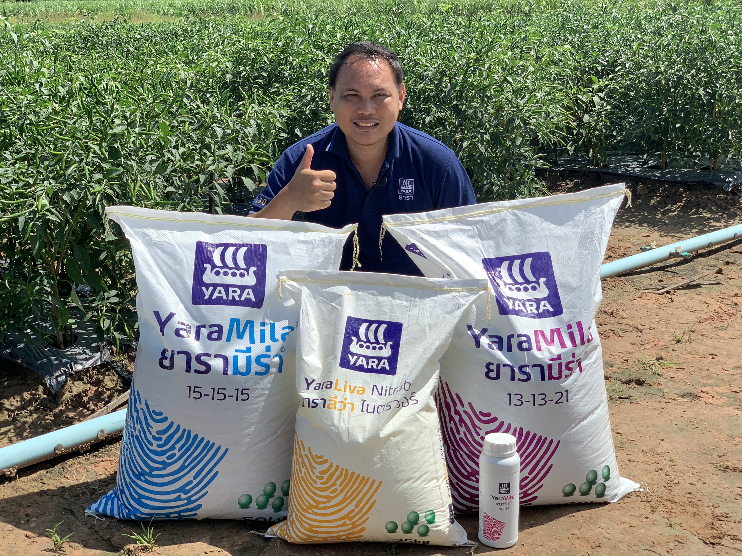 ปุ๋ยยารา