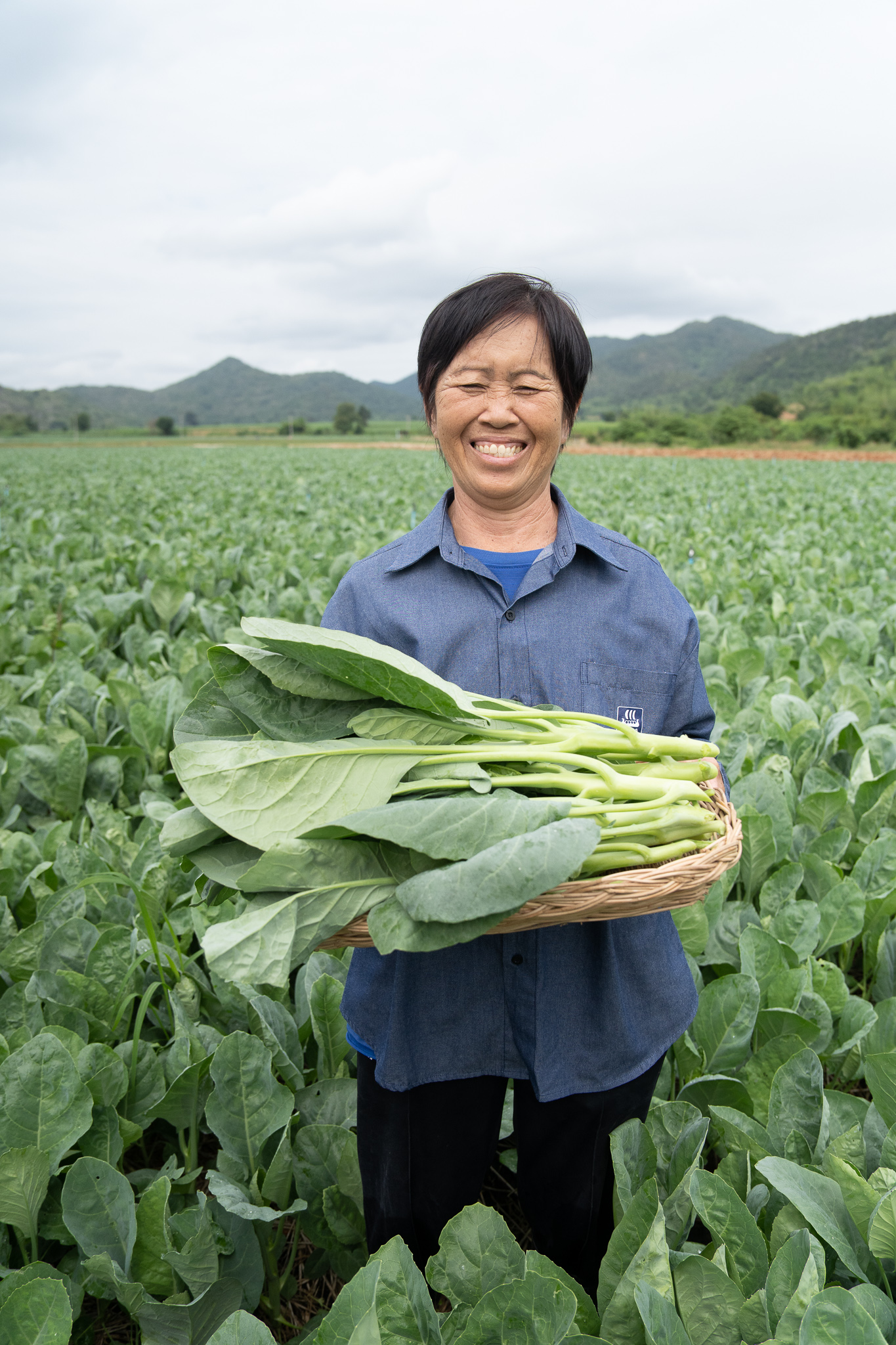 เกษตรกรคะน้า