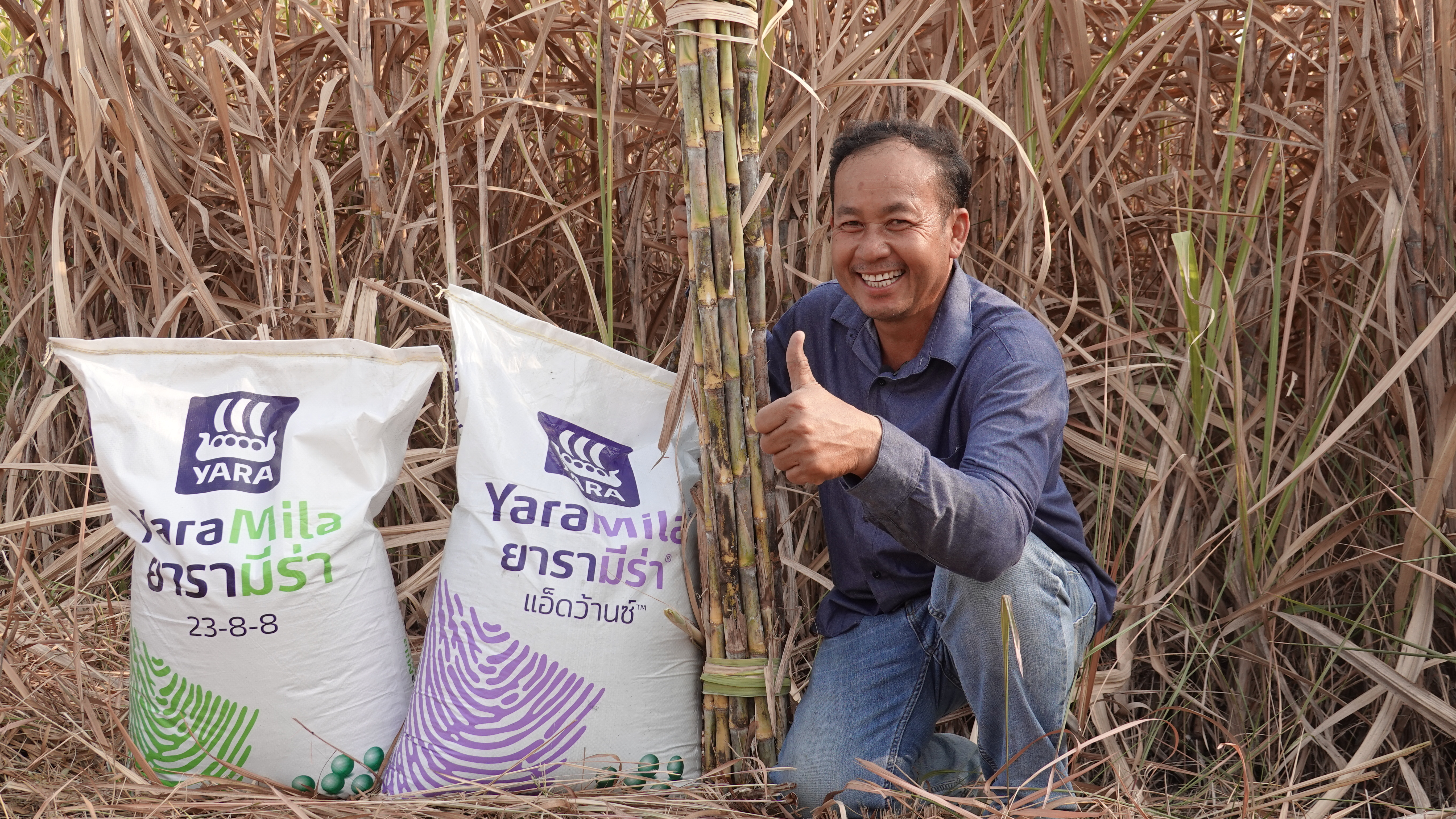fertilizer