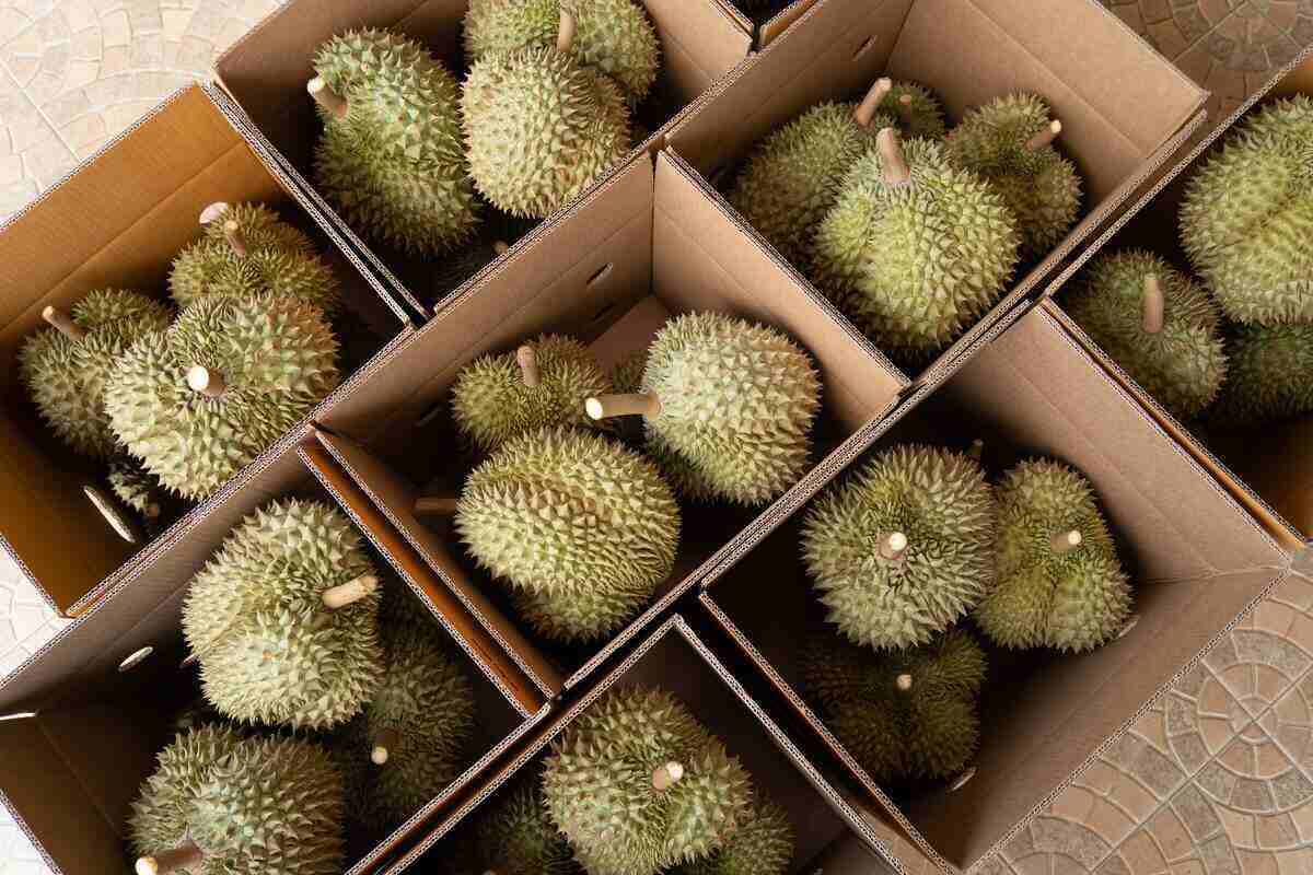 คุณศุภชัย คงทอง