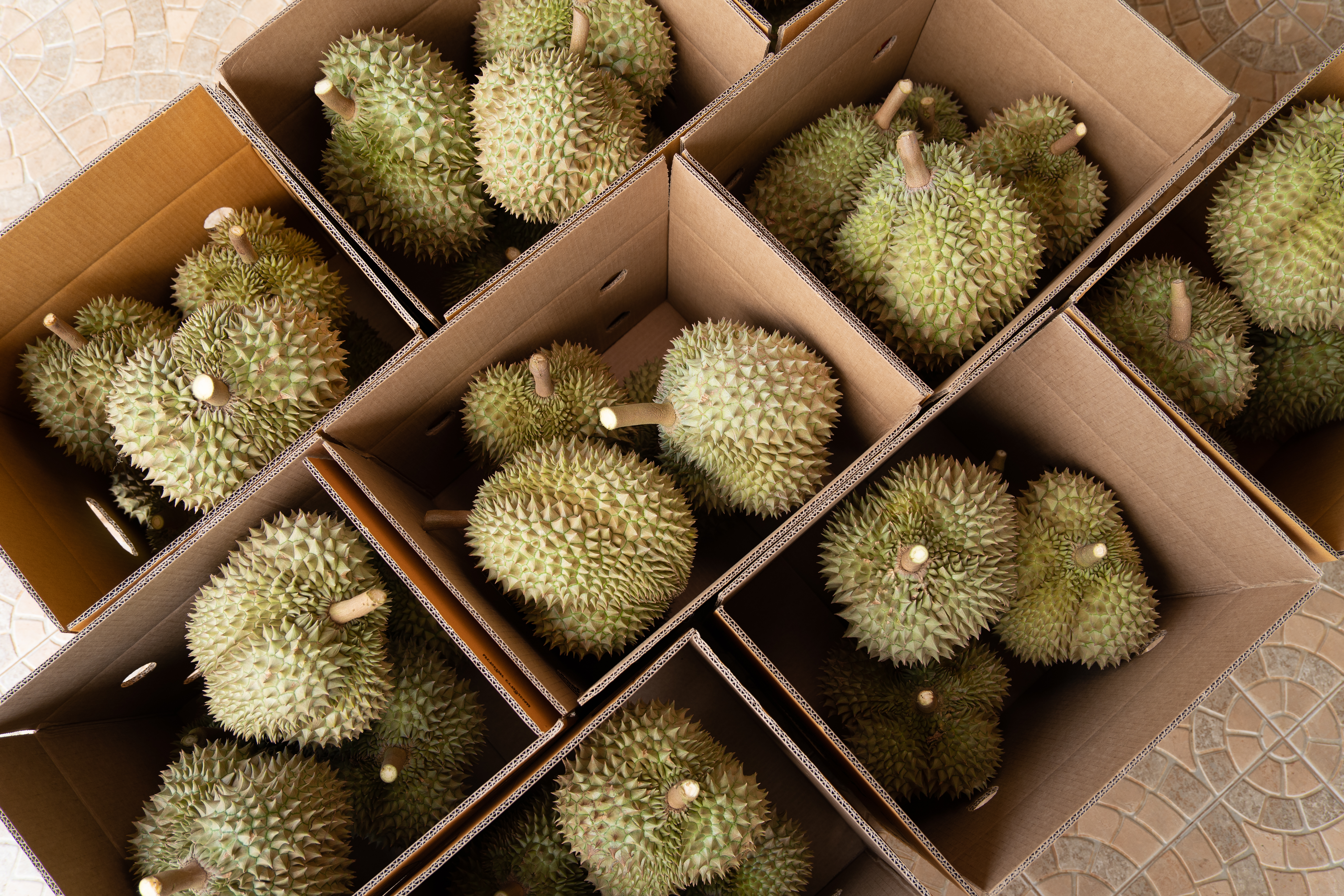 ทุเรียน