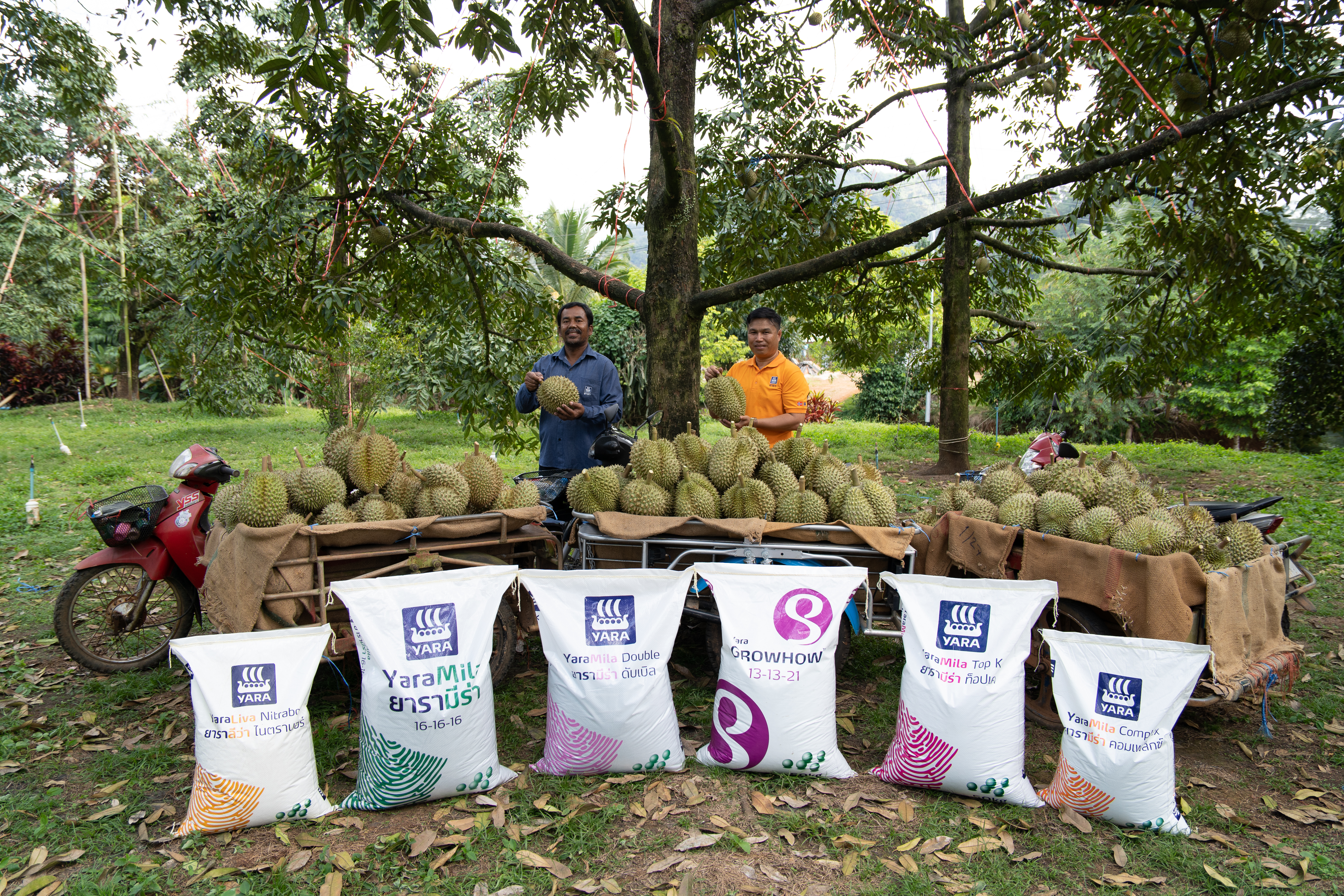 ยาราสุดยอดทุเรียน