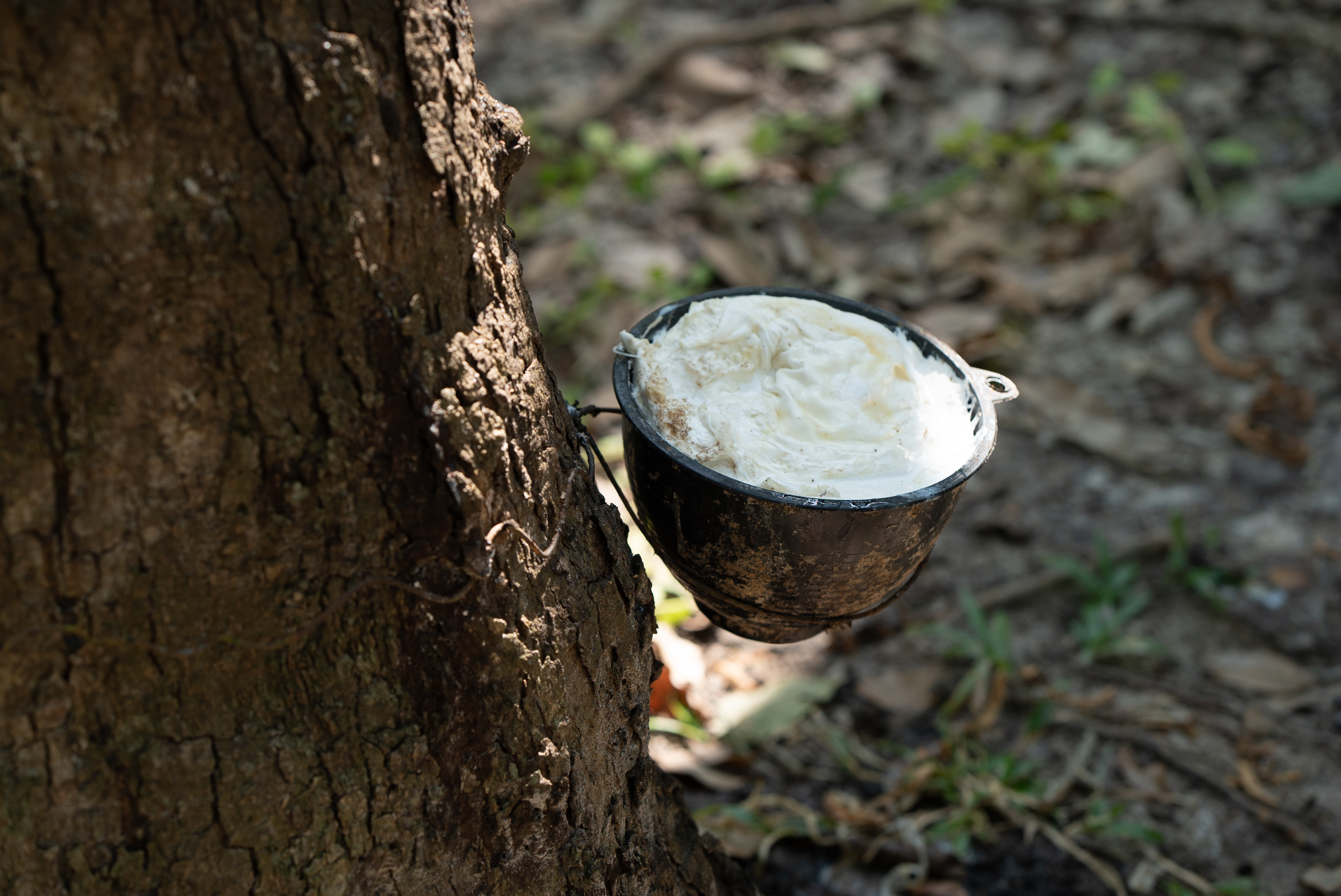 เทคนิค และเคล็ดลับทำยางก้อนคุณภาพ