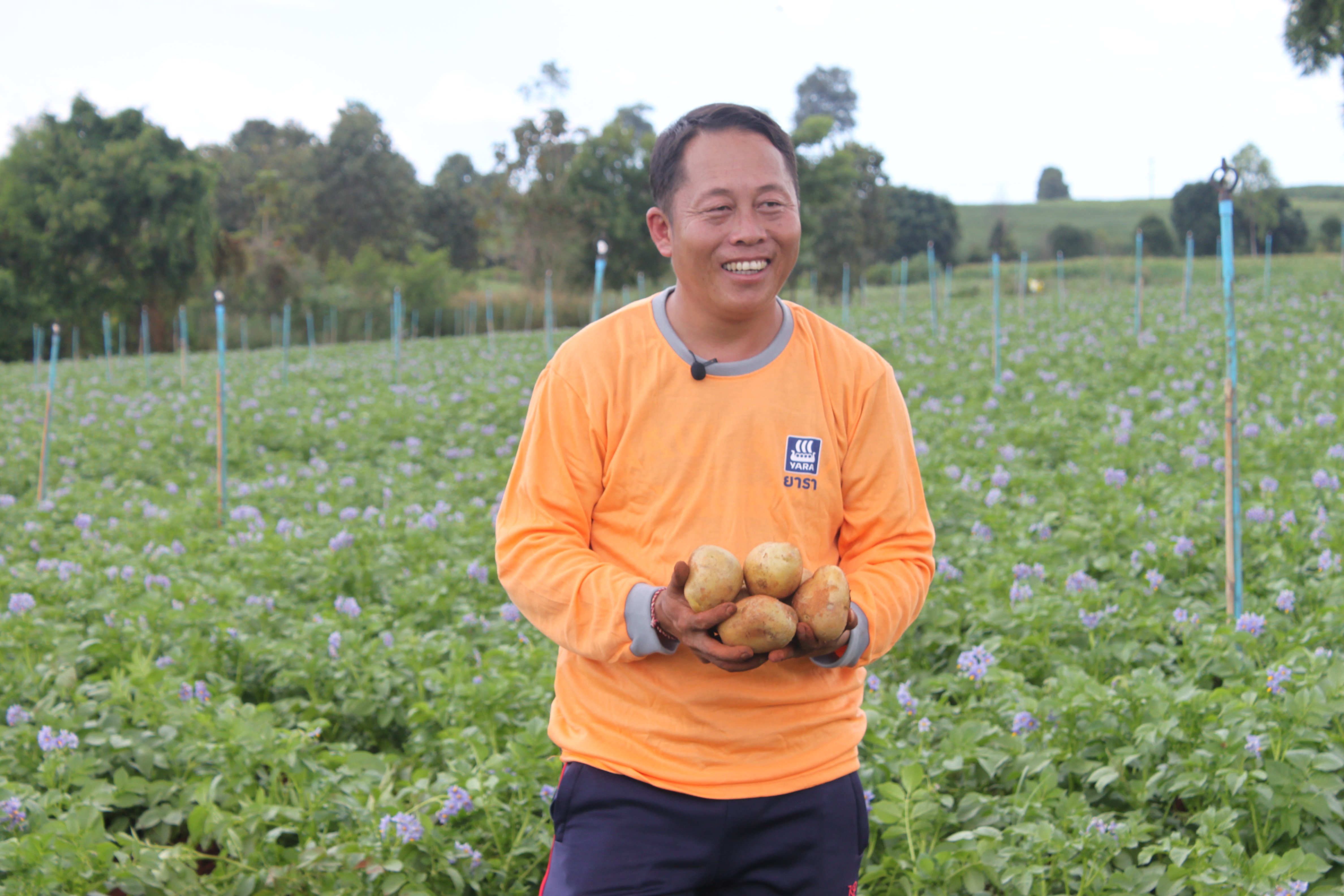 คุณทีฟต์ ไทยพอเพียง